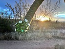 photo thumbnail #9