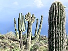 photo thumbnail #15