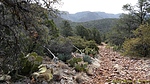 photo thumbnail #6