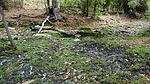 photo thumbnail #14