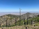 photo thumbnail #5