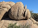 photo thumbnail #7