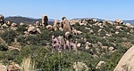 photo thumbnail #15