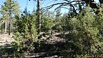 photo thumbnail #12