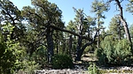 photo thumbnail #15