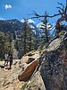 photo thumbnail #3