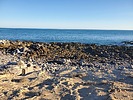 photo thumbnail #12