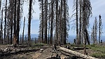 photo thumbnail #14