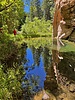 photo thumbnail #11