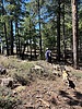 photo thumbnail #2