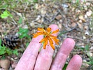 photo thumbnail #8