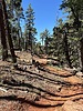 photo thumbnail #6