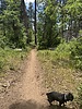 photo thumbnail #4