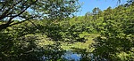 photo thumbnail #4