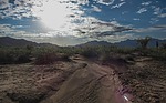 photo thumbnail #1