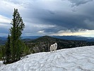 photo thumbnail #3