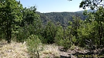 photo thumbnail #14
