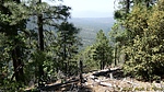 photo thumbnail #15