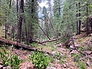 photo thumbnail #15