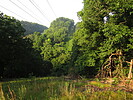 photo thumbnail #6