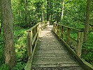 photo thumbnail #12