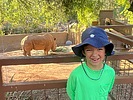 photo thumbnail #3