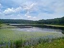 photo thumbnail #2
