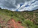 photo thumbnail #6