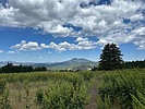 photo thumbnail #8