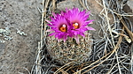 photo thumbnail #10