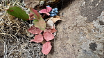 photo thumbnail #15
