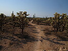 photo thumbnail #3