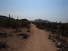 photo thumbnail #5