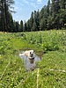 photo thumbnail #6