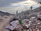 photo thumbnail #5
