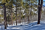 photo thumbnail #9