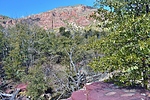 photo thumbnail #12