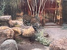photo thumbnail #10