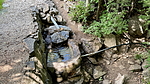 Featured Detail Photo