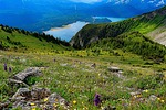 photo thumbnail #12
