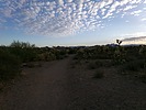 photo thumbnail #9