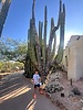 photo thumbnail #4