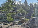 photo thumbnail #3