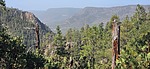 photo thumbnail #1
