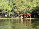 photo thumbnail #15