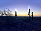 photo thumbnail #4