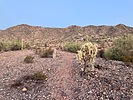 photo thumbnail #3