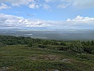photo thumbnail #5