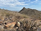 photo thumbnail #13