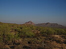 photo thumbnail #4